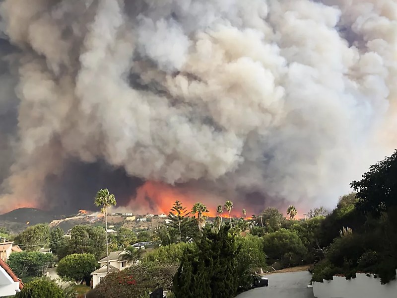 Building a Wildfire Preparedness Plan&nbsp;(🎧)
